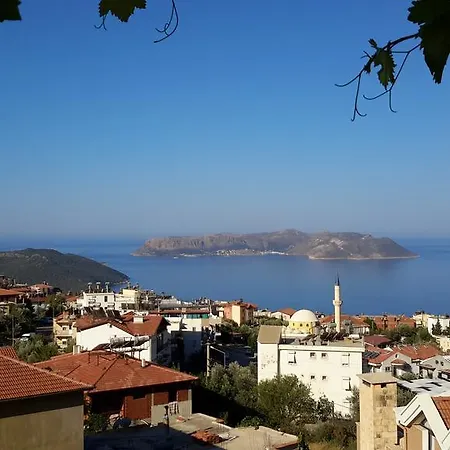 Sevgi